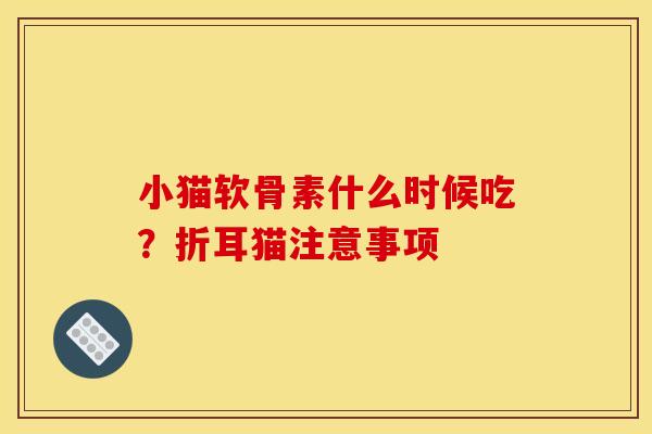 小猫软骨素什么时候吃？折耳猫注意事项