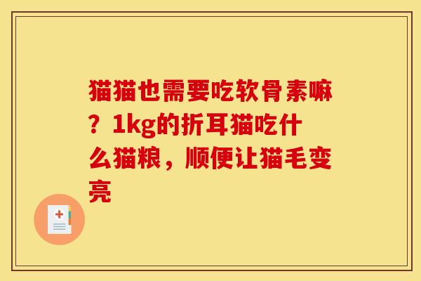 猫猫也需要吃软骨素嘛？1kg的折耳猫吃什么猫粮，顺便让猫毛变亮
