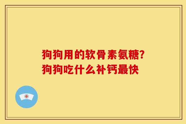 狗狗用的软骨素氨糖？狗狗吃什么补钙最快