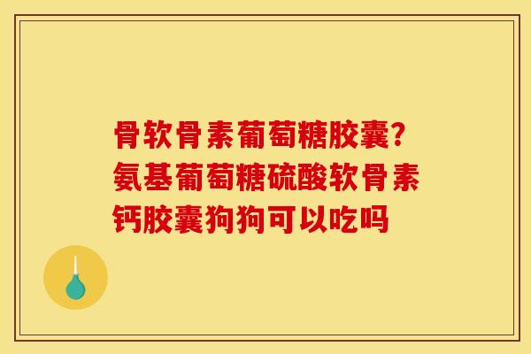 骨软骨素葡萄糖胶囊？氨基葡萄糖硫酸软骨素钙胶囊狗狗可以吃吗