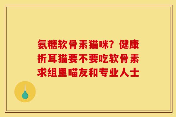 氨糖软骨素猫咪？健康折耳猫要不要吃软骨素求组里喵友和专业人士