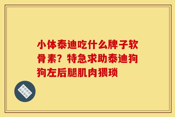 小体泰迪吃什么牌子软骨素？特急求助泰迪狗狗左后腿肌肉猥琐