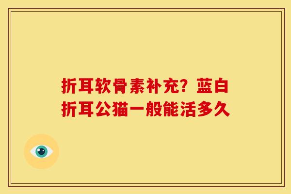 折耳软骨素补充？蓝白折耳公猫一般能活多久
