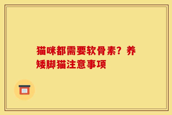猫咪都需要软骨素？养矮脚猫注意事项