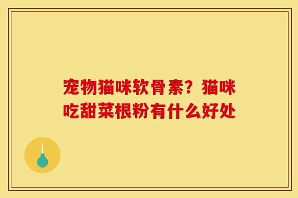 宠物猫咪软骨素？猫咪吃甜菜根粉有什么好处