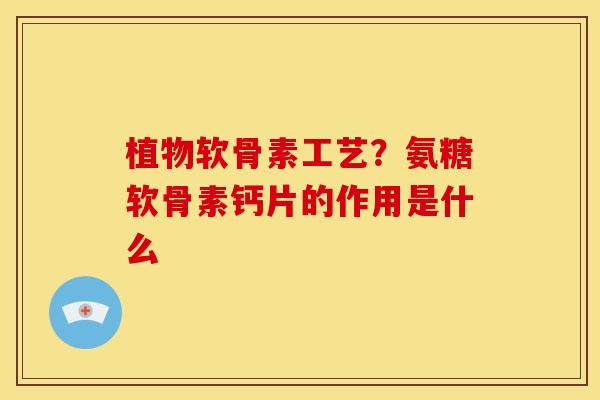 植物软骨素工艺？氨糖软骨素钙片的作用是什么