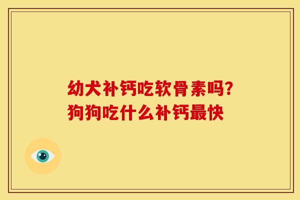 幼犬补钙吃软骨素吗？狗狗吃什么补钙最快