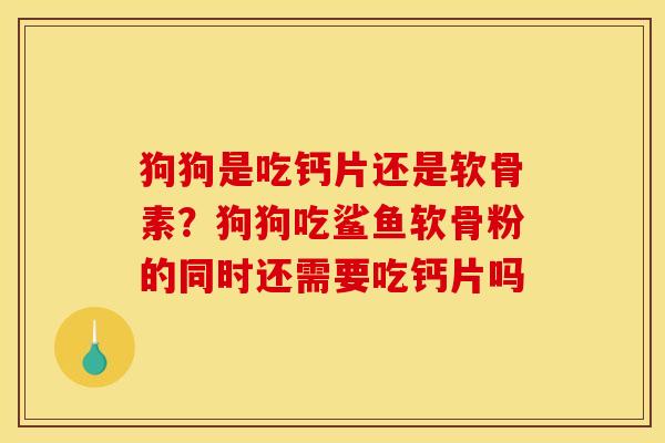 狗狗是吃钙片还是软骨素？狗狗吃鲨鱼软骨粉的同时还需要吃钙片吗