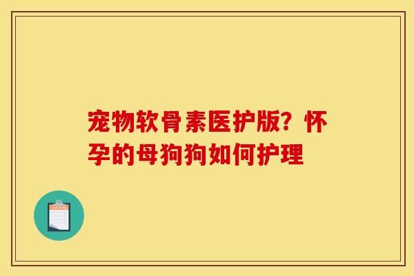 宠物软骨素医护版？怀孕的母狗狗如何护理