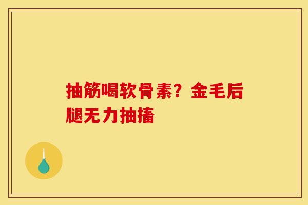 抽筋喝软骨素？金毛后腿无力抽搐