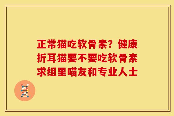 正常猫吃软骨素？健康折耳猫要不要吃软骨素求组里喵友和专业人士