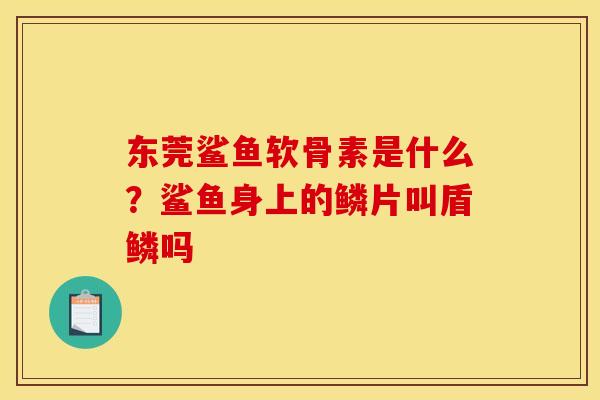 东莞鲨鱼软骨素是什么？鲨鱼身上的鳞片叫盾鳞吗