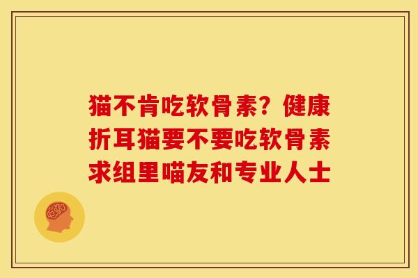 猫不肯吃软骨素？健康折耳猫要不要吃软骨素求组里喵友和专业人士