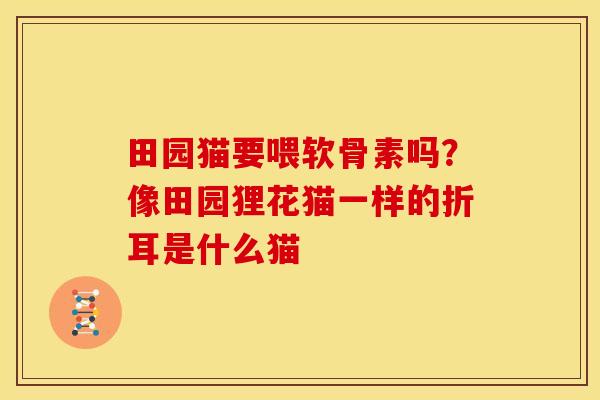 田园猫要喂软骨素吗？像田园狸花猫一样的折耳是什么猫