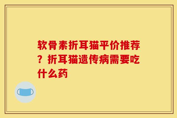 软骨素折耳猫平价推荐？折耳猫遗传病需要吃什么药