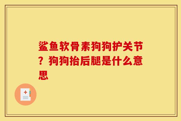 鲨鱼软骨素狗狗护关节？狗狗抬后腿是什么意思