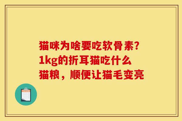 猫咪为啥要吃软骨素？1kg的折耳猫吃什么猫粮，顺便让猫毛变亮