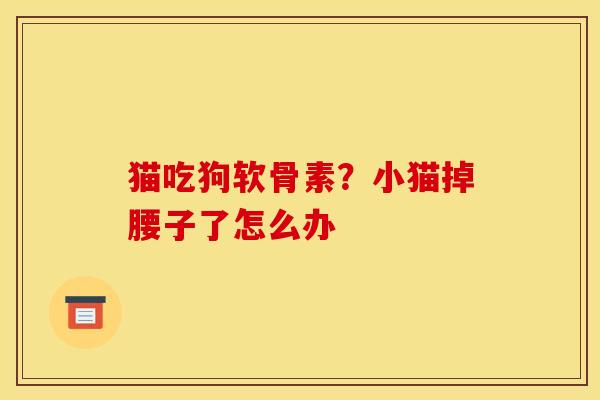 猫吃狗软骨素？小猫掉腰子了怎么办
