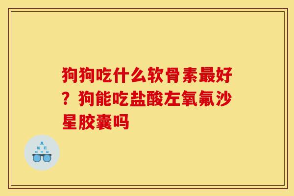 狗狗吃什么软骨素最好？狗能吃盐酸左氧氟沙星胶囊吗