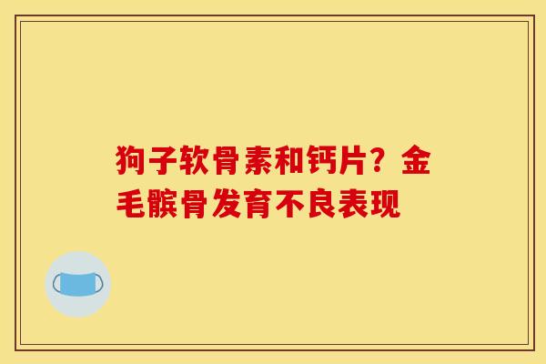 狗子软骨素和钙片？金毛髌骨发育不良表现