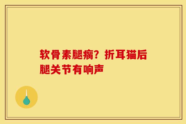 软骨素腿瘸？折耳猫后腿关节有响声