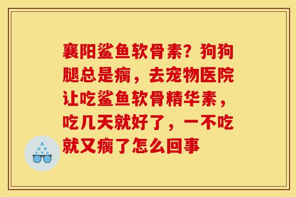 襄阳鲨鱼软骨素？狗狗腿总是瘸，去宠物医院让吃鲨鱼软骨精华素，吃几天就好了，一不吃就又瘸了怎么回事