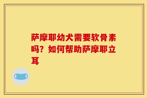 萨摩耶幼犬需要软骨素吗？如何帮助萨摩耶立耳
