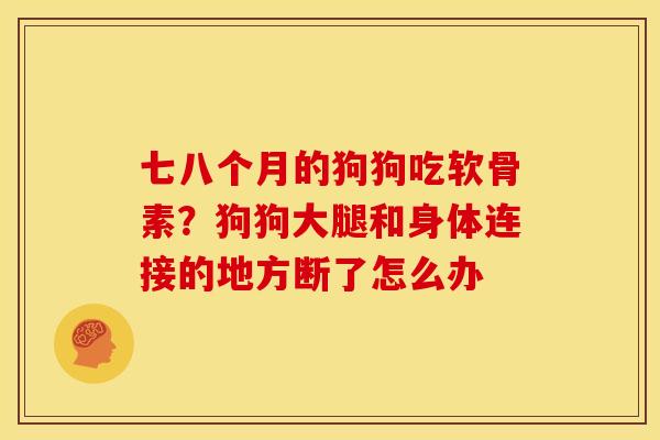 七八个月的狗狗吃软骨素？狗狗大腿和身体连接的地方断了怎么办