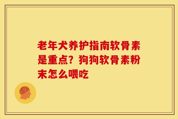 老年犬养护指南软骨素是重点？狗狗软骨素粉末怎么喂吃