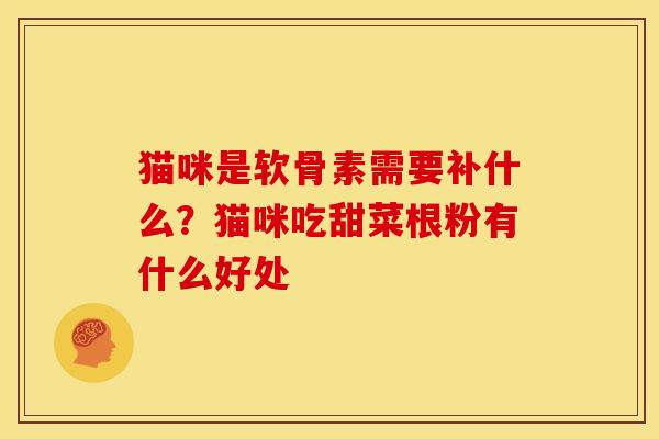 猫咪是软骨素需要补什么？猫咪吃甜菜根粉有什么好处