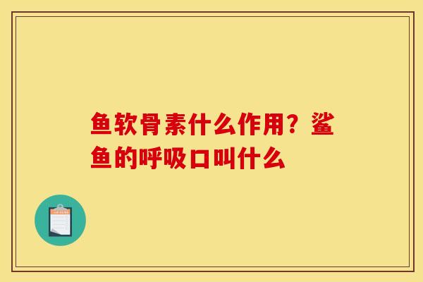 鱼软骨素什么作用？鲨鱼的呼吸口叫什么