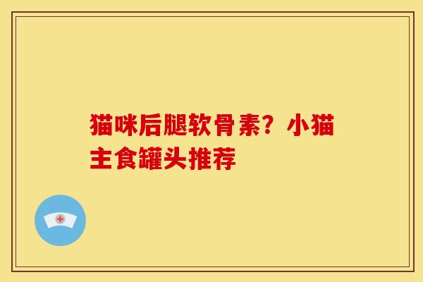 猫咪后腿软骨素？小猫主食罐头推荐