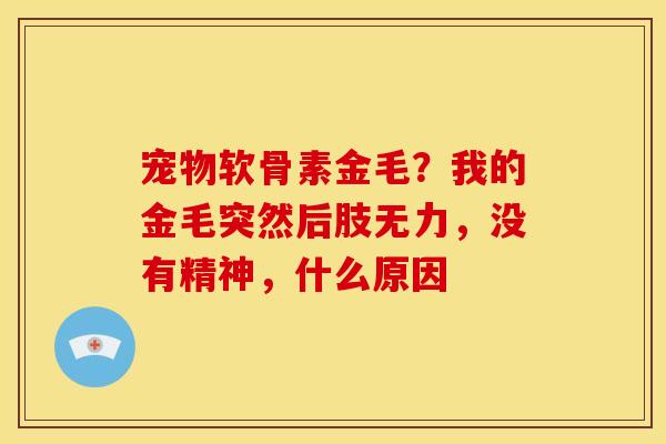 宠物软骨素金毛？我的金毛突然后肢无力，没有精神，什么原因