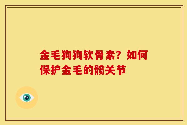 金毛狗狗软骨素？如何保护金毛的髋关节