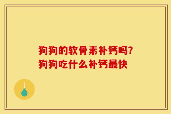 狗狗的软骨素补钙吗？狗狗吃什么补钙最快