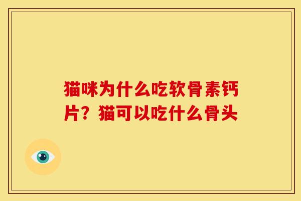 猫咪为什么吃软骨素钙片？猫可以吃什么骨头
