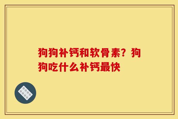 狗狗补钙和软骨素？狗狗吃什么补钙最快