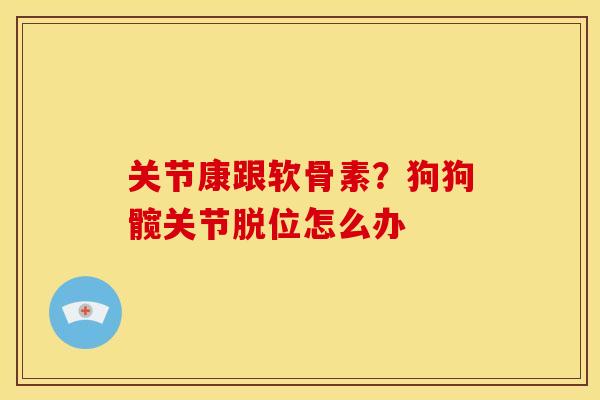关节康跟软骨素？狗狗髋关节脱位怎么办