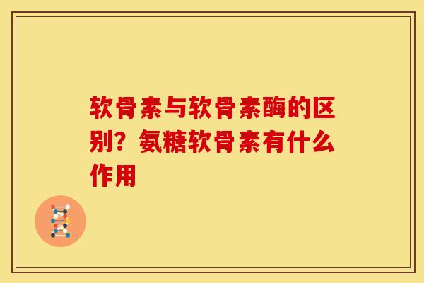 软骨素与软骨素酶的区别？氨糖软骨素有什么作用