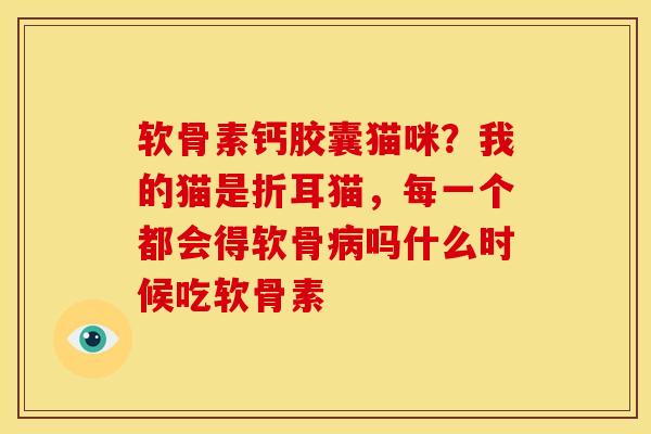 软骨素钙胶囊猫咪？我的猫是折耳猫，每一个都会得软骨病吗什么时候吃软骨素