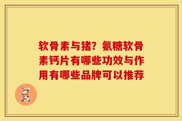 软骨素与猪？氨糖软骨素钙片有哪些功效与作用有哪些品牌可以推荐