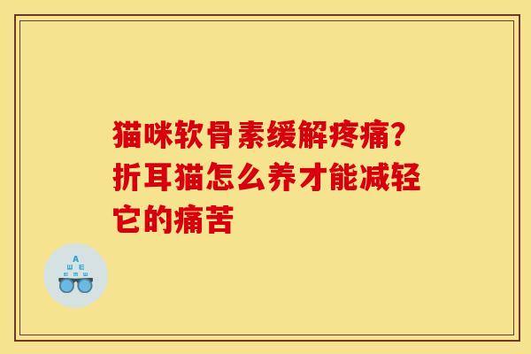 猫咪软骨素缓解疼痛？折耳猫怎么养才能减轻它的痛苦