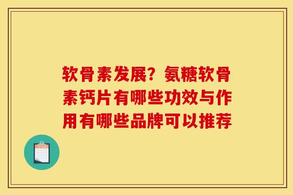 软骨素发展？氨糖软骨素钙片有哪些功效与作用有哪些品牌可以推荐