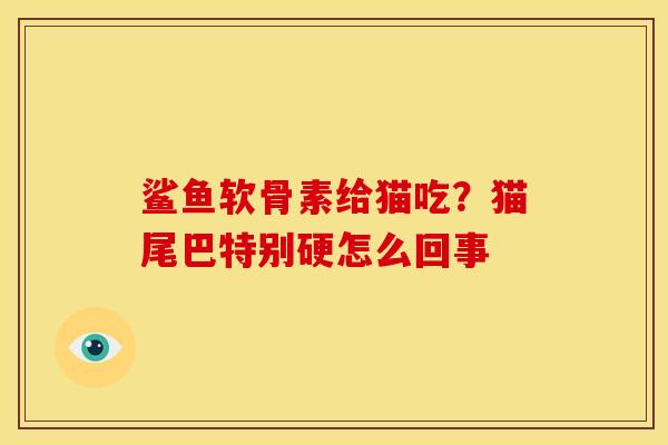 鲨鱼软骨素给猫吃？猫尾巴特别硬怎么回事