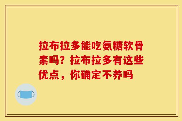 拉布拉多能吃氨糖软骨素吗？拉布拉多有这些优点，你确定不养吗
