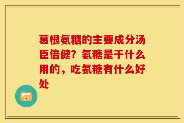 葛根氨糖的主要成分汤臣倍健？氨糖是干什么用的，吃氨糖有什么好处