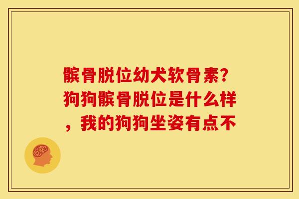 髌骨脱位幼犬软骨素？狗狗髌骨脱位是什么样，我的狗狗坐姿有点不