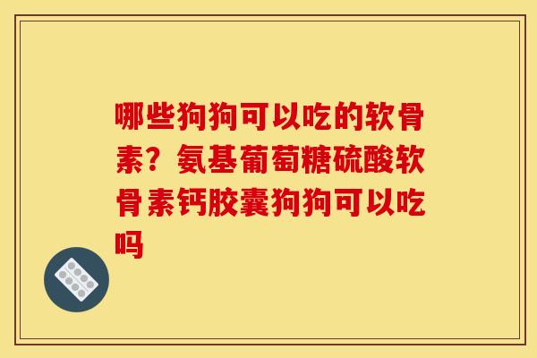 哪些狗狗可以吃的软骨素？氨基葡萄糖硫酸软骨素钙胶囊狗狗可以吃吗