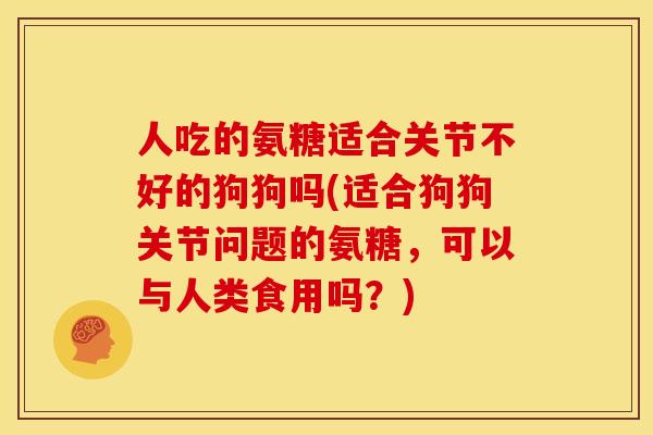 人吃的氨糖适合关节不好的狗狗吗(适合狗狗关节问题的氨糖，可以与人类食用吗？)