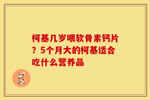柯基几岁喂软骨素钙片？5个月大的柯基适合吃什么营养品